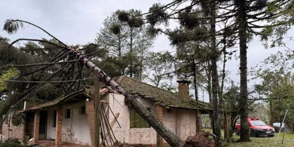 Temporal causa danos em ao menos 36 residências em Camaquã