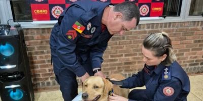 Governo do RS promove curso para atendimento emergencial de cães que atuam em operações de salvamento e de segurança