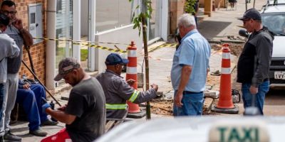 Taxistas solicitam plantio de árvores e são atendidos pela Prefeitura de Camaquã