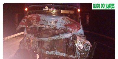 Cavalos soltos na pista causam acidente na BR-116 em Camaquã. Cinco animais morreram