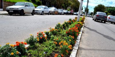 Canteiros centrais mais coloridos em Camaquã