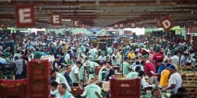 Ceasa/RS movimentou mais de R$1 bi em 2015