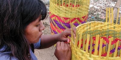 No Dia do Índio, Emater comemora avanços nas comunidades do RS