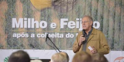 Safra gaúcha do Programa Milho e Feijão pode render R$ 320 milhões aos produtores de tabaco