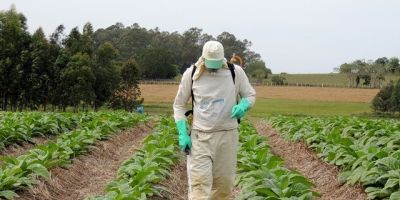 EPIs são fundamentais para garantir a saúde e segurança do produtor rural