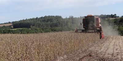 Chuvas atrasam colheita de grãos de verão no RS 
