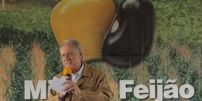 Programa Milho e Feijão deve gerar R$ 210 milhões para produtores catarinenses