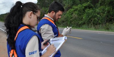 Gestão Ambiental monitora animais atropelados durante a duplicação da BR-116/RS