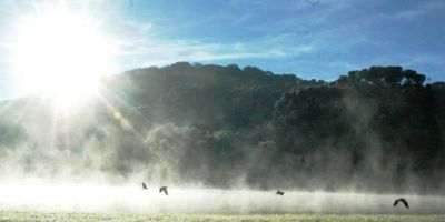 Segunda-feira dá início a semana gelada no RS