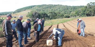 Agricultores de Cerro Grande do Sul irão investir na produção de alho