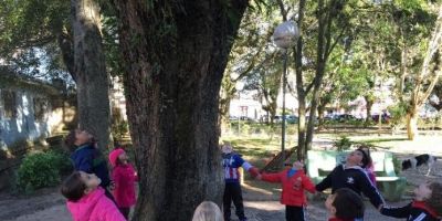 Atividade de Educação Ambiental movimenta Escolas da Rede Municipal de Ensino na Semana do Meio Ambiente