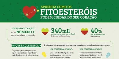 Ingerir fitoesteróis na dose certa é importante para reduzir o “colesterol ruim” 