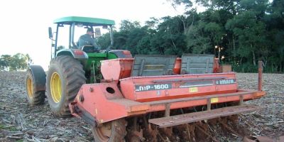 Baixa umidade do solo causa transtornos aos produtores de trigo no RS