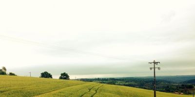 Retorno da chuva beneficia culturas de inverno no Rio Grande do Sul