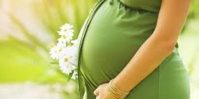 Planos de saúde e os direitos das gestantes e dos recém-nascidos