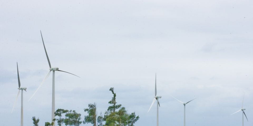 Complexo Eólico de Santa Vitória do Palmar recebe licença de implantação