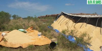 Quadrilha é presa na ERS-471 em Canguçu após saquear carga de farelo de soja