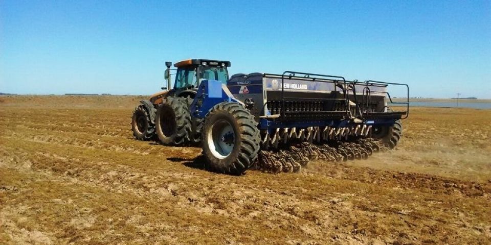 Mudanças climáticas diminuem e plantio do arroz segue adiantado no RS