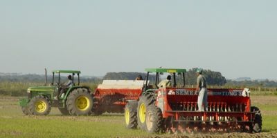 Semeadura de arroz da Planície Costeira Interna já alcança 78% em Camaquã, diz Irga