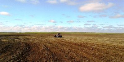 Plantio do arroz no Rio Grande do Sul atinge 60% da área estimada