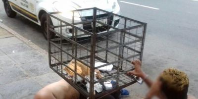 Brigada Militar emite nota sobre presos algemados em lixeira em frente ao Palácio da Polícia
