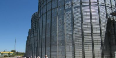 Arroz: missão com importadores no Brasil deve gerar US$ 7,5 milhões em negócios
