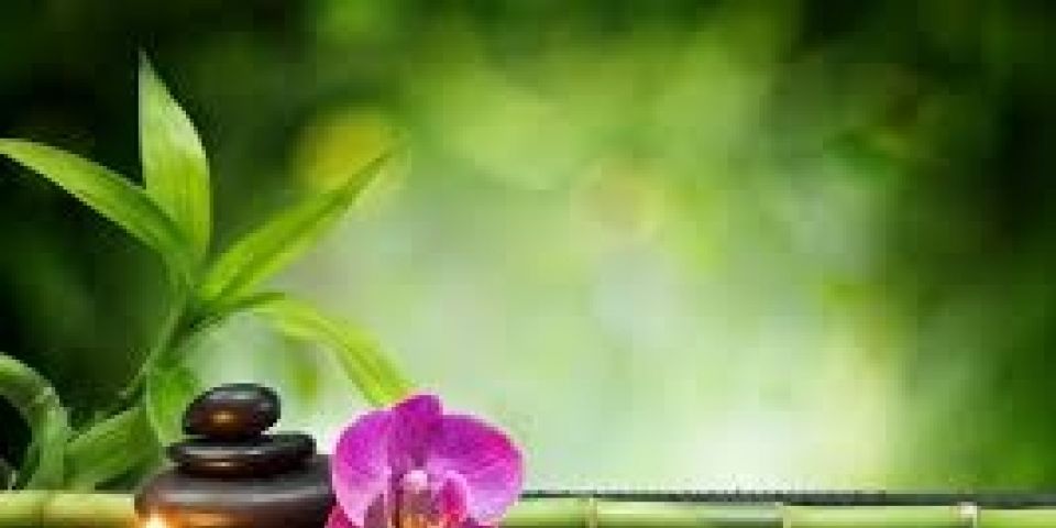 Artigo: Harmonização do Ambiente Básico