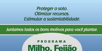 Programa Milho, Feijão e Pastagens será renovado nos três Estados do Sul
