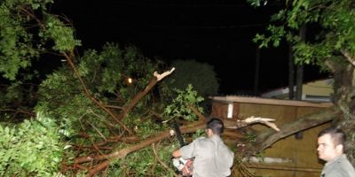 Noite de Iemanjá agitada, vento e chuva fortes ocasionaram a queda de galhos de árvores sobre telhados de residências em São Lourenço do Sul