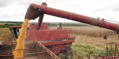 Aumento da produtividade deve elevar em 15,3% colheita de grãos na próxima safra