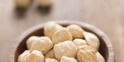 Anvisa proíbe uso e venda de produtos com Noz da Índia e Chapéu de Napoleão