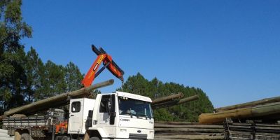 Camaquã - CEEE fará leilão de postes e cruzetas