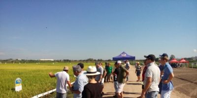Irga reúne produtores da região da Planície Costeira Interna em Dia de Campo em Camaquã