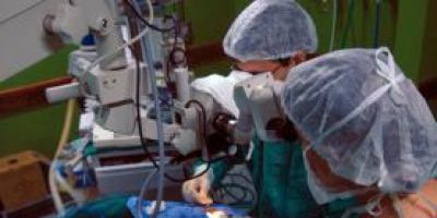 Número de transplantes cresce 5%, mas recusa de doação por famílias ainda é alta