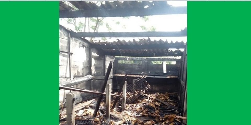 Estufa de fumo pega fogo na localidade de Vila Fátima em Dom Feliciano