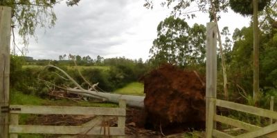Temporal em Cristal causa prejuízos incalculáveis. Estado de emergência deve ser decretado na segunda