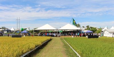 Irga promove Dia do Arroz na Expoagro Afubra