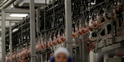 Chile, China e Egito anunciam retomada da importação de carne brasileira
