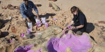 MUNDO: cientistas identificam 150 pegadas de 21 espécies de dinossauros na Austrália