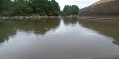 Amigos resgatam tartarugas na barragem do Arroio Duro em Camaquã