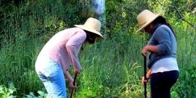 Canguçu - Plano Safra 2014/2015 vai ser lançado nesta segunda-feira