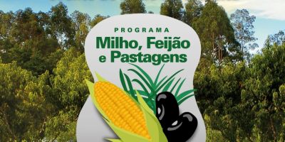 Diversificação rentável para a lavoura é tema de dia de campo