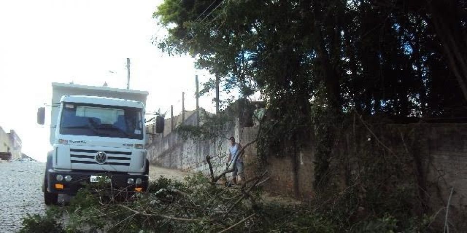 Quando e como realizar a poda?