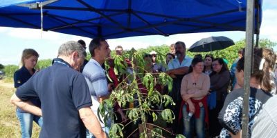 SMAA e Emater realizam Dia de Campo com produtores de Camaquã, Chuvisca e Dom Feliciano