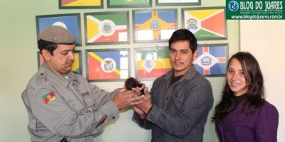 Casal do interior de Dom Feliciano recolhe, cuida e entrega filhote de bugio ao Pelotão Ambiental de Camaquã