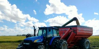 Faltam apenas 12,5 mil hectares para concluir colheita de arroz no RS
