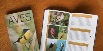 Lançado o Guia de Identificação das Aves do Extremo Sul do Brasil