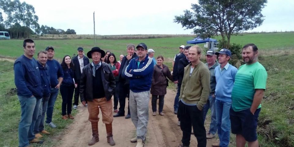 Produtores de leite de Camaquã participam de Dia de Campo em Cristal