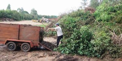 Projeto Compostagem Doméstica Abrace esta Ideia começa em Camaquã