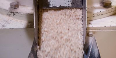 Roubos de cargas: arroz já teve mais de R$ 1 milhão em prejuízos, diz a Abiarroz